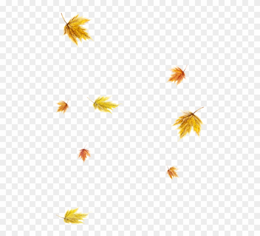 Обсуждение На Liveinternet - Camomile Clipart