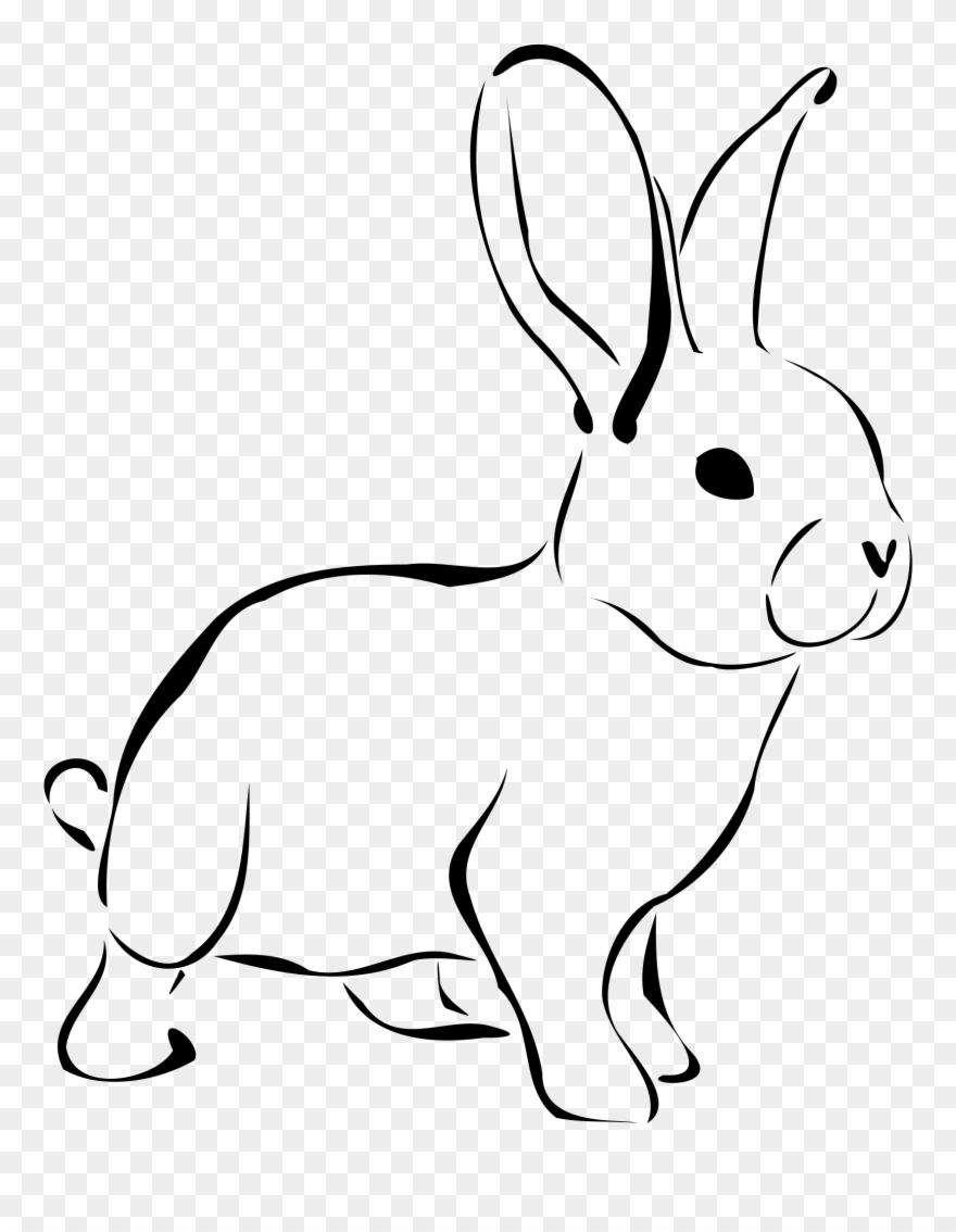 Rabbit - Rabbit Black And White Clipart