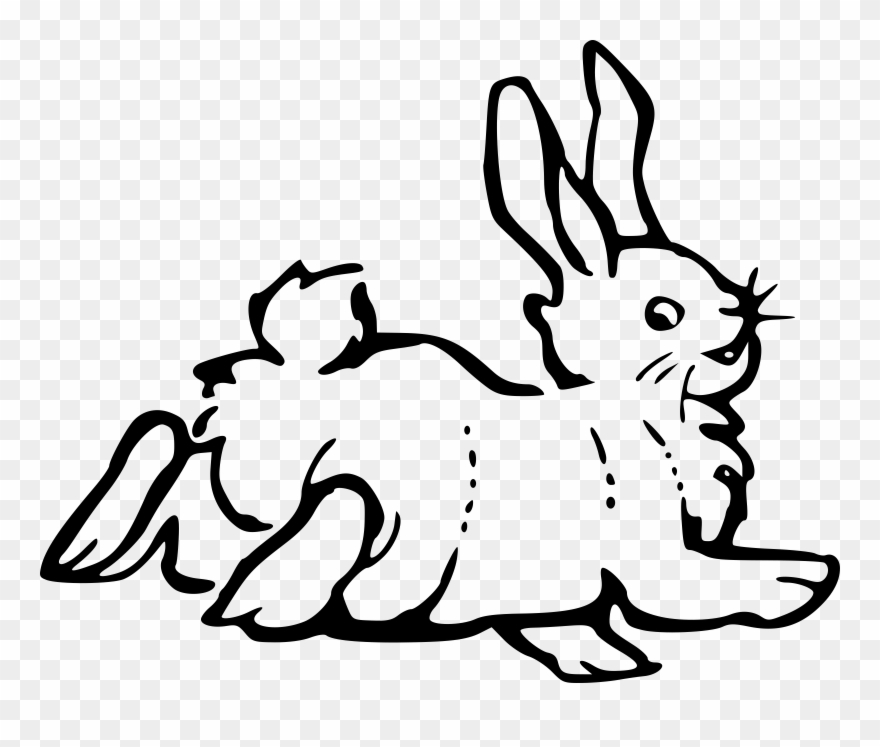 Rabbit Black And White Bunny Clipart Black And White - Rabbit Clip Art - Png Download