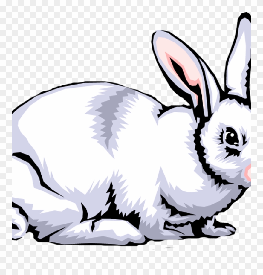 Rabbit Clipart Free Rabbit Clip Art Images Clipart - White Rabbit - Png Download