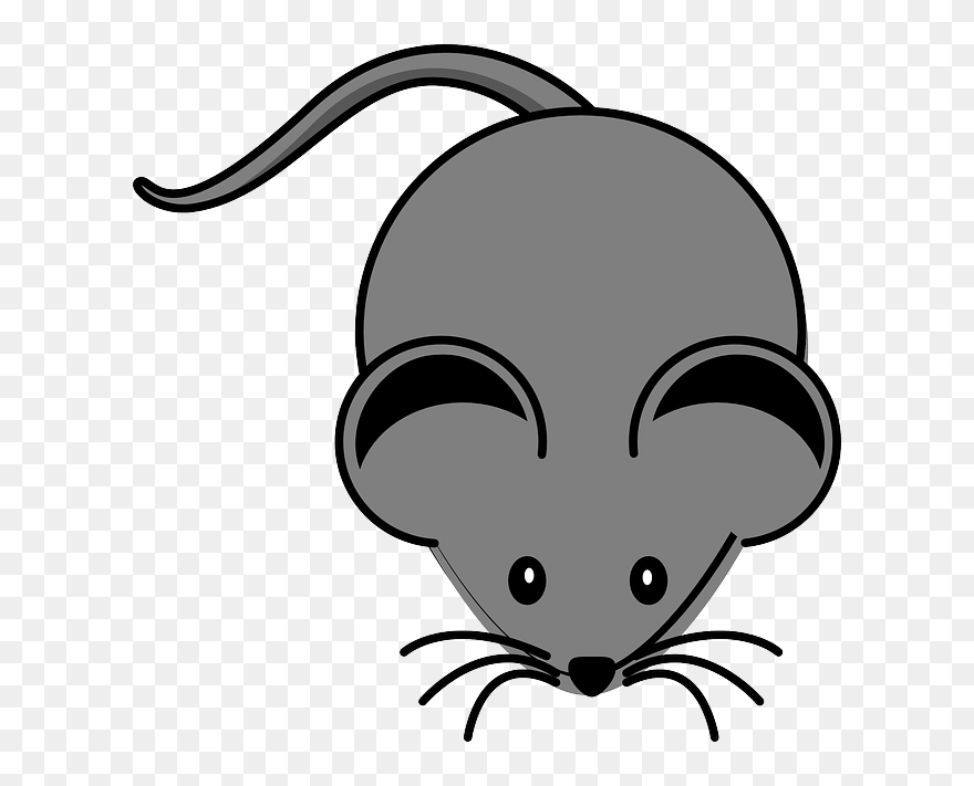 Cute Mouse Clipart - Grey Mouse Clipart - Png Download