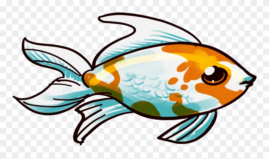 Goldfish Big Eyes - Comet Clipart