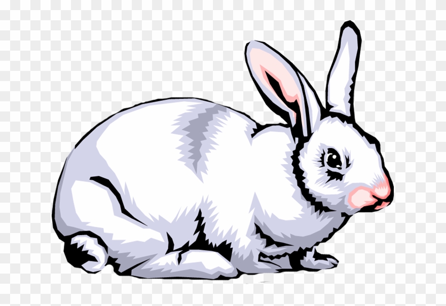 Graphic Black And White Clip Art Images Panda - Clip Art Rabbit Png Transparent Png