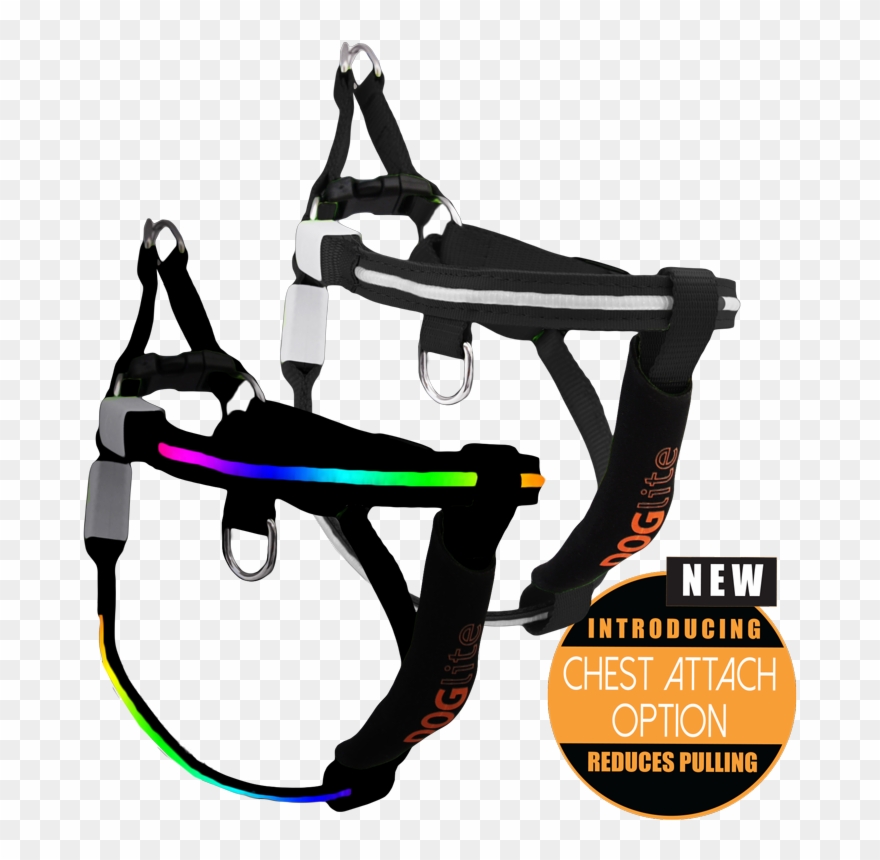 Banner Transparent Doglite Mini Dog Extra - Dog Clipart