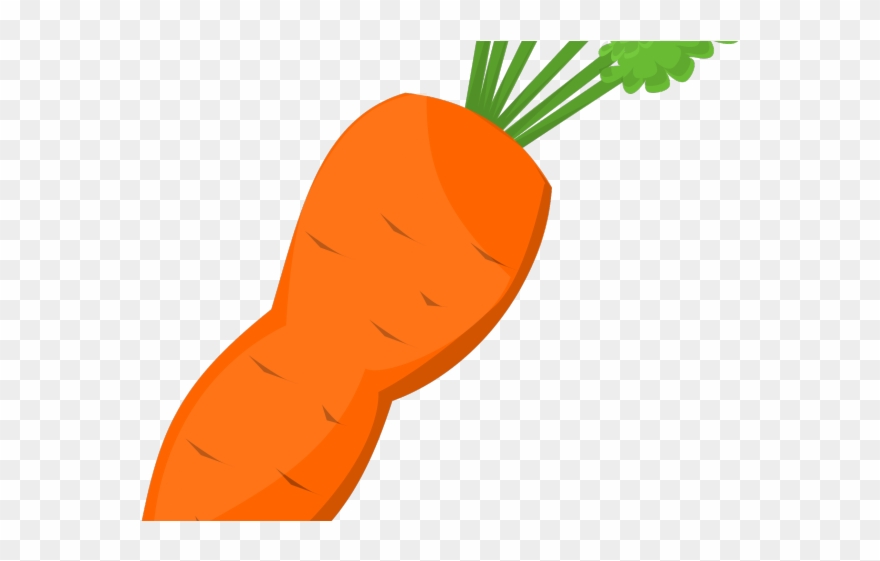 Carrot Clipart Carrot Root - Png Download