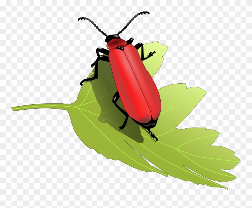 Free - Free Nature Clip Art Png Transparent Png