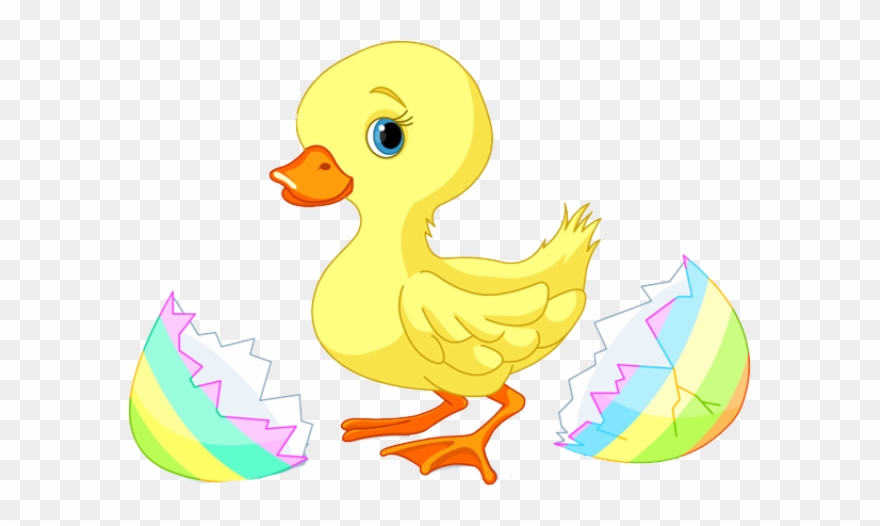 Easter - Baby Duck Clipart Png Transparent Png