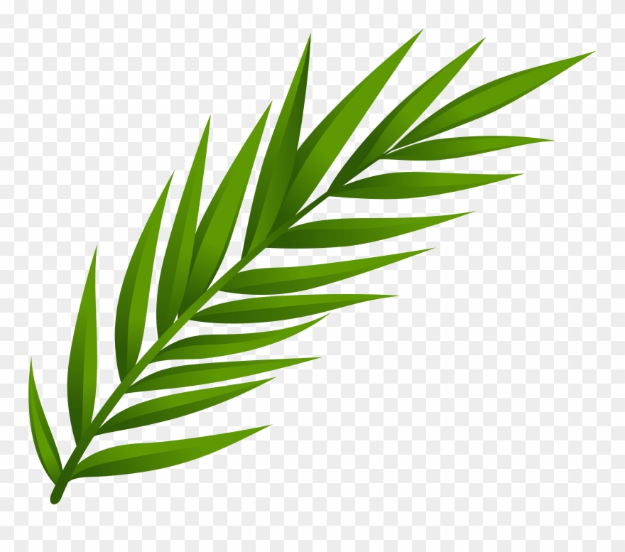Leaf Png Clip Art Transparent Png