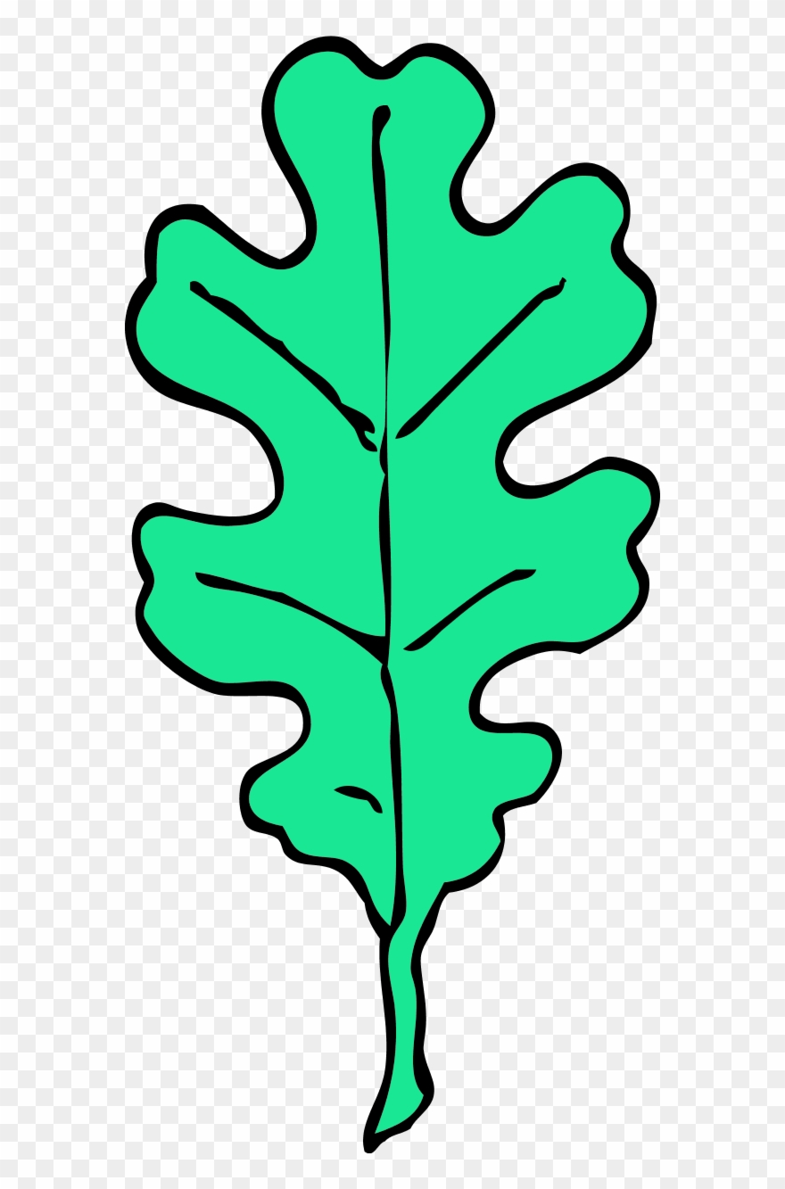 Color Variation D - Red Oak Leaf Clip Art - Png Download