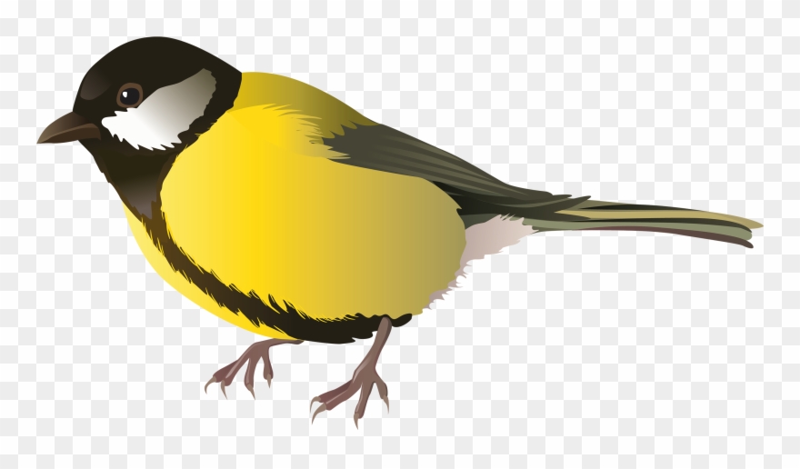 Homely Ideas Bird Clipart Cartoon Bunny Yellow Png - Yellow Bird Clip Art Transparent Png