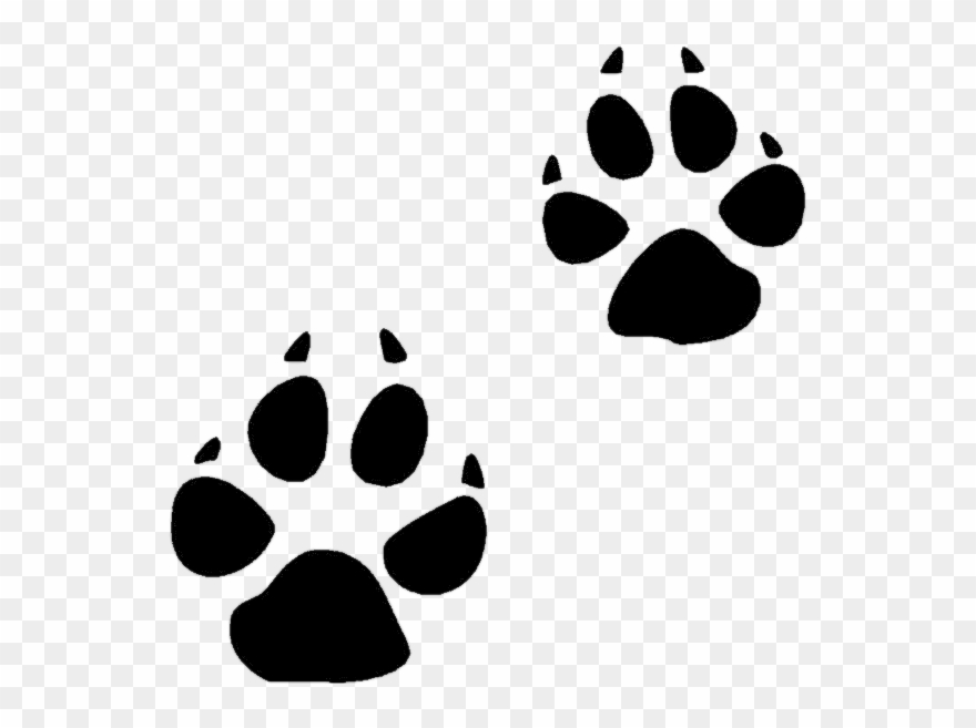 Bobcat - Coyote Footprints Clipart