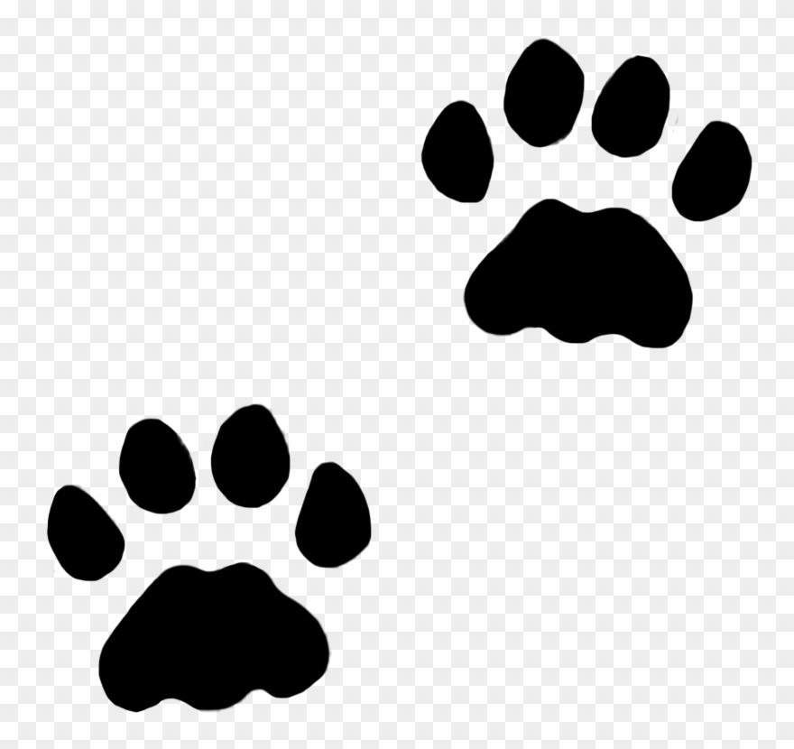 Track Clipart Dog Leg Picture Library Stock - Clip Art Cat Paw Print - Png Download