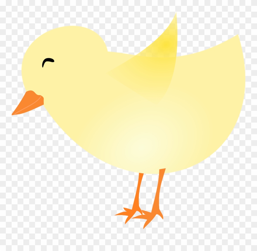 All Photo Png Clipart - Spring Chick Clipart Transparent Png
