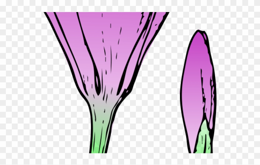 Crocus Clipart June Flower - Capullo De Flor Dibujo - Png Download
