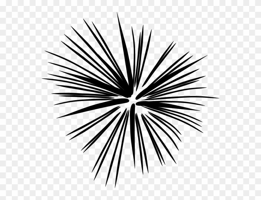 Black And White Fireworks Clip Art - Firework Clipart Black And White - Png Download