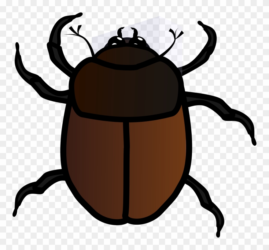 June Bug Clipart - Bug Clipart - Png Download