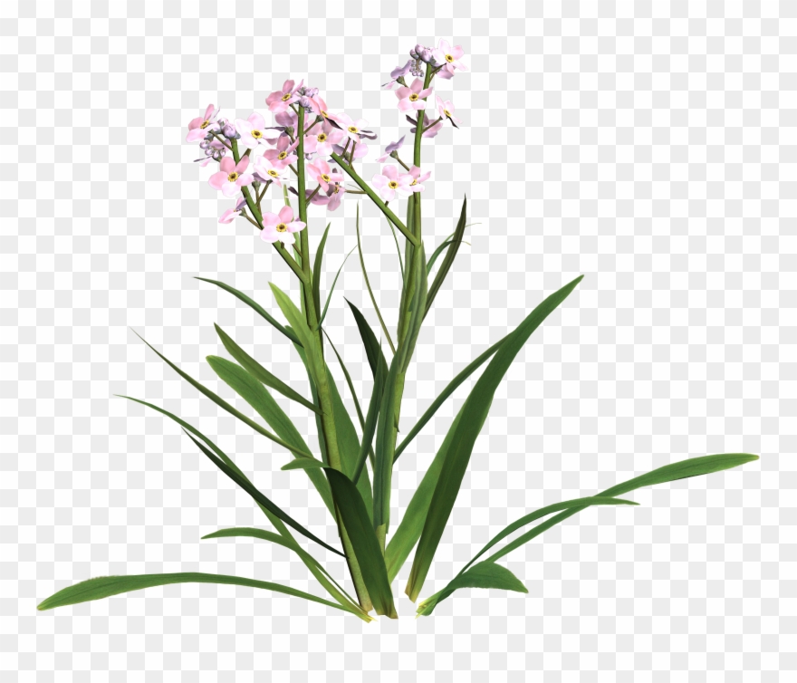 Cliparts Of A Sympathy Card Clipart - Flowers For Sympathy Card Clipart - Png Download