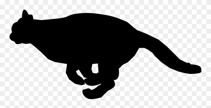 Black Cat Kitten Felidae Running - Cat Running Clip Art - Png Download