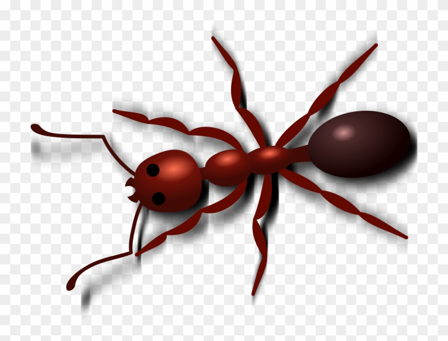 Picnic Clip Art Ants Free Clipart Images - Ant Clip Art - Png Download
