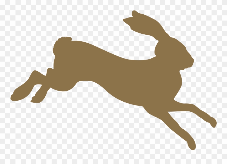 Boston's Hallowed Cross-country Venue - Tracksmith Logo Clipart