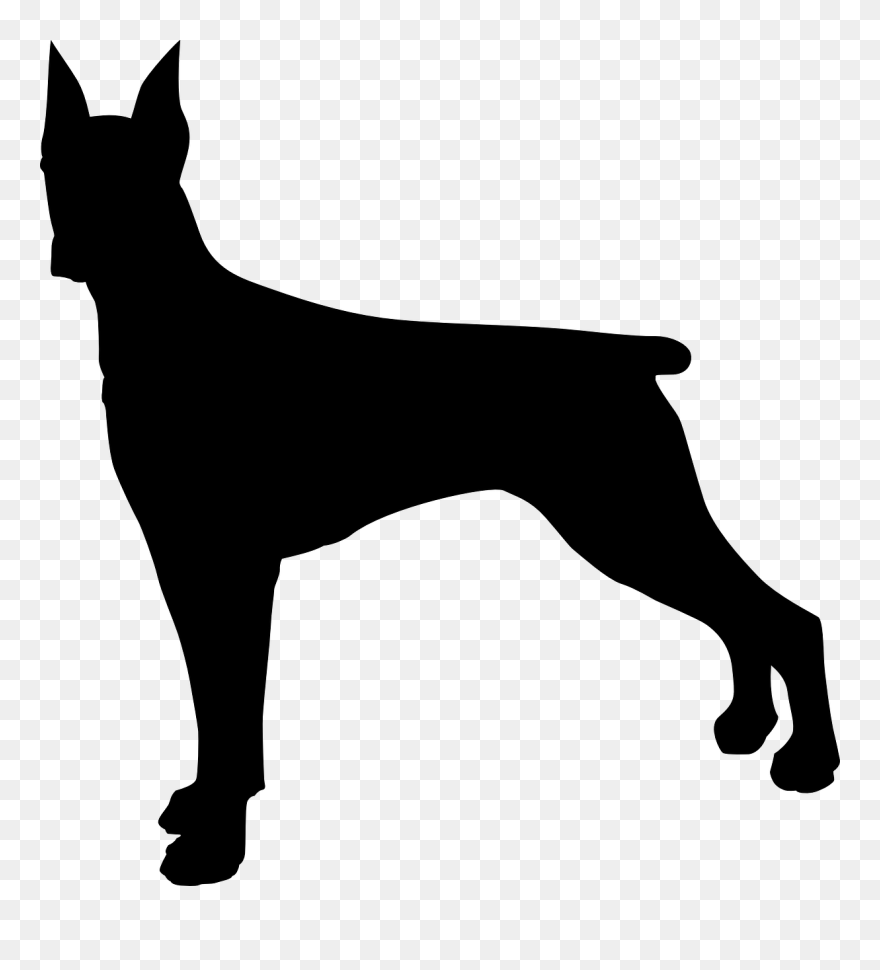 Doberman Dog Silhouette Clip Art - Doberman Silhouette Png Transparent Png