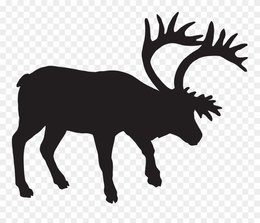 Running Horse Clipart - Png Download
