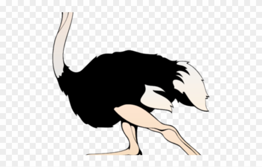 Animl Clipart Run - Ostrich Clip Art - Png Download