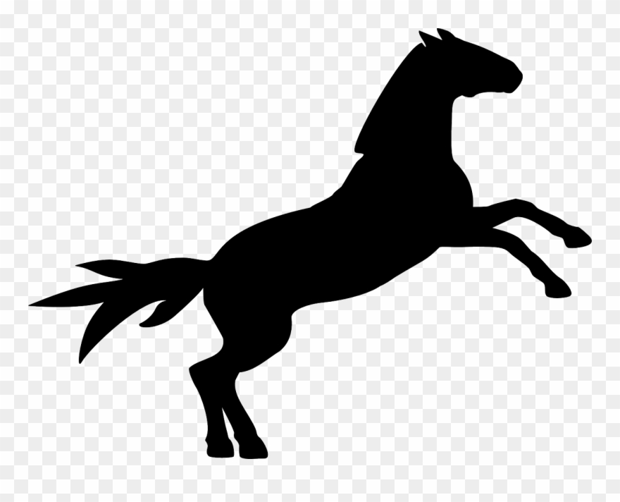 Race Horse Clipart - Cartoon Horse Jumping - Png Download
