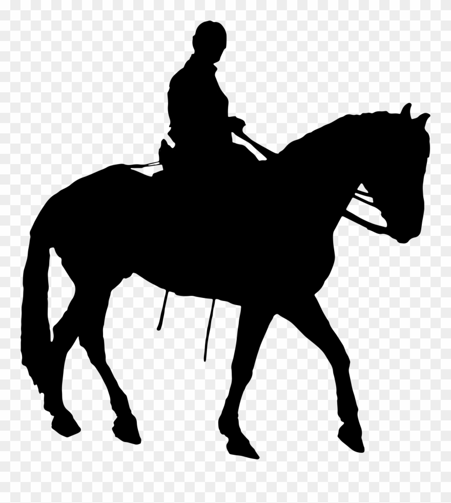 Onlinelabels Clip Art - Horse Riding T Shirts For Girls - Png Download