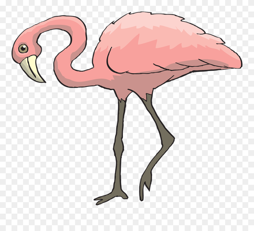 Nativity Scene Clipart Free Picture Clipartmonk - Animals With 2 Legs Clipart - Png Download