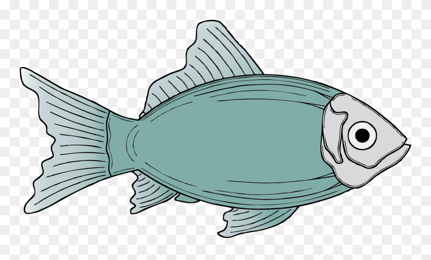 Codes For Insertion - Blue Fish Shower Curtain Clipart