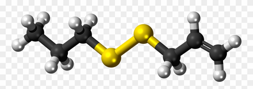 28, 28 June 2012 - Amine Compounds (chemical Compounds) Clipart