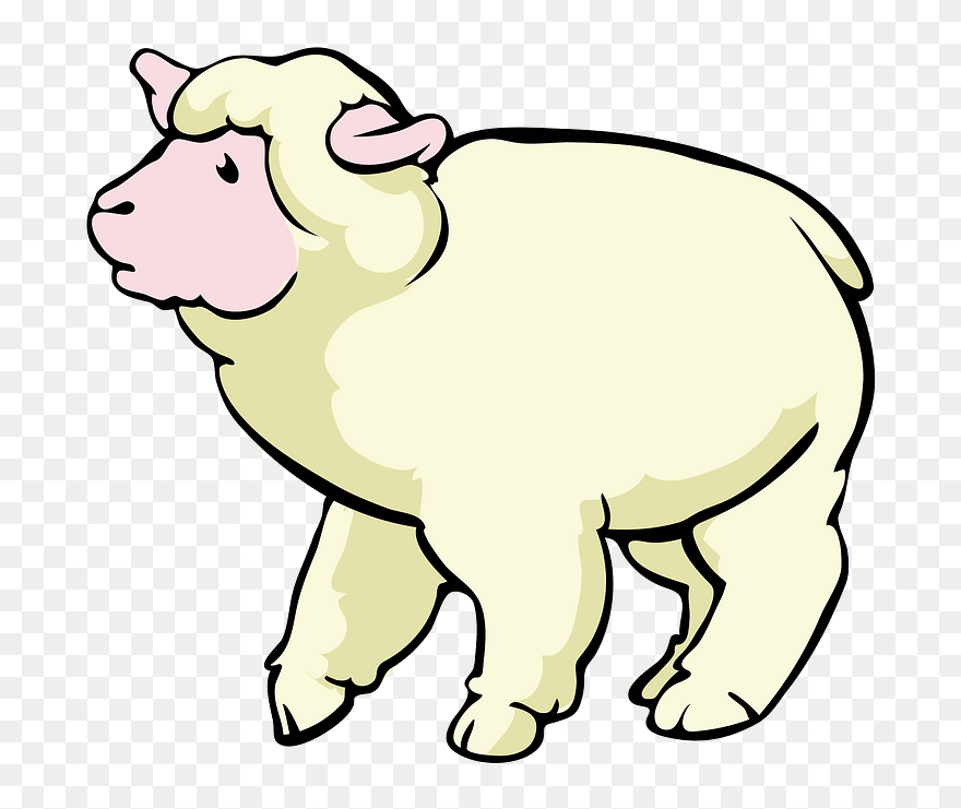 Sheep Baby Lamb Clipart Clipart Clipartix - Sheep Cartoon * .png Transparent Png