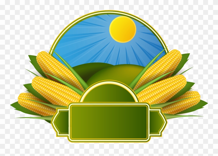 Corn On The Cob Maize Corncob Clip Art - Corn Background Design - Png Download