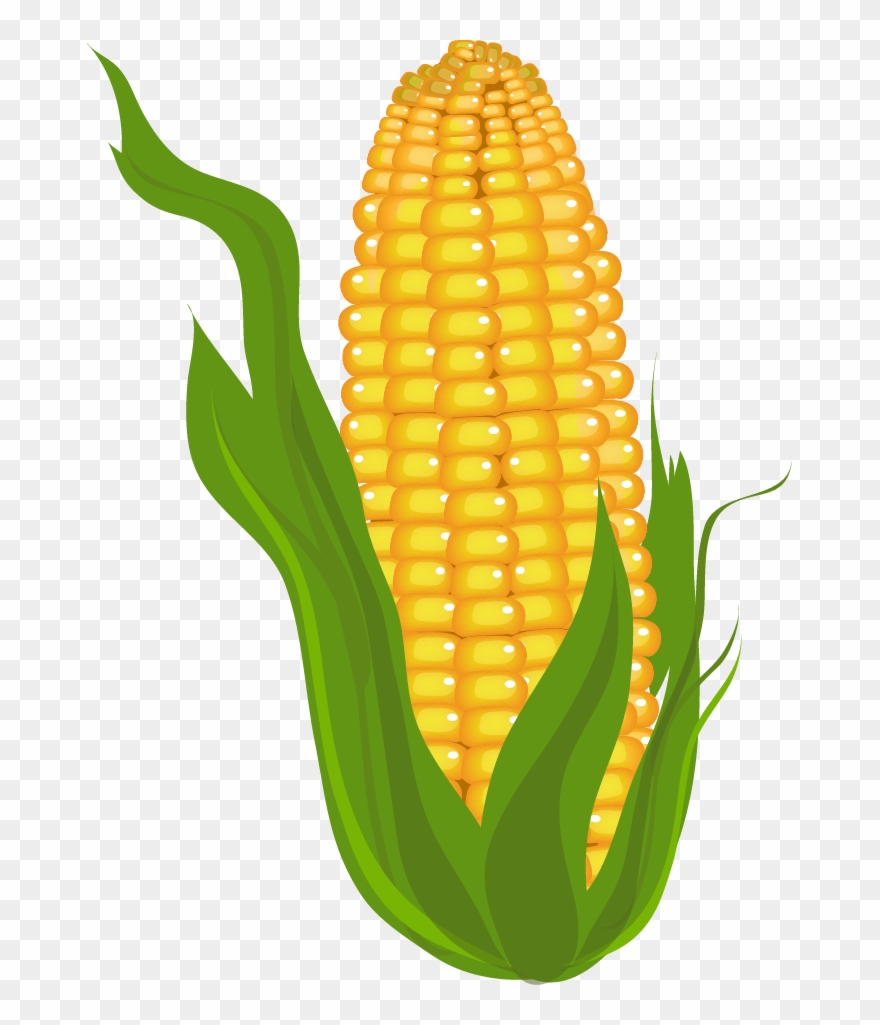Clip Arts Related To - Corn Clipart Free - Png Download