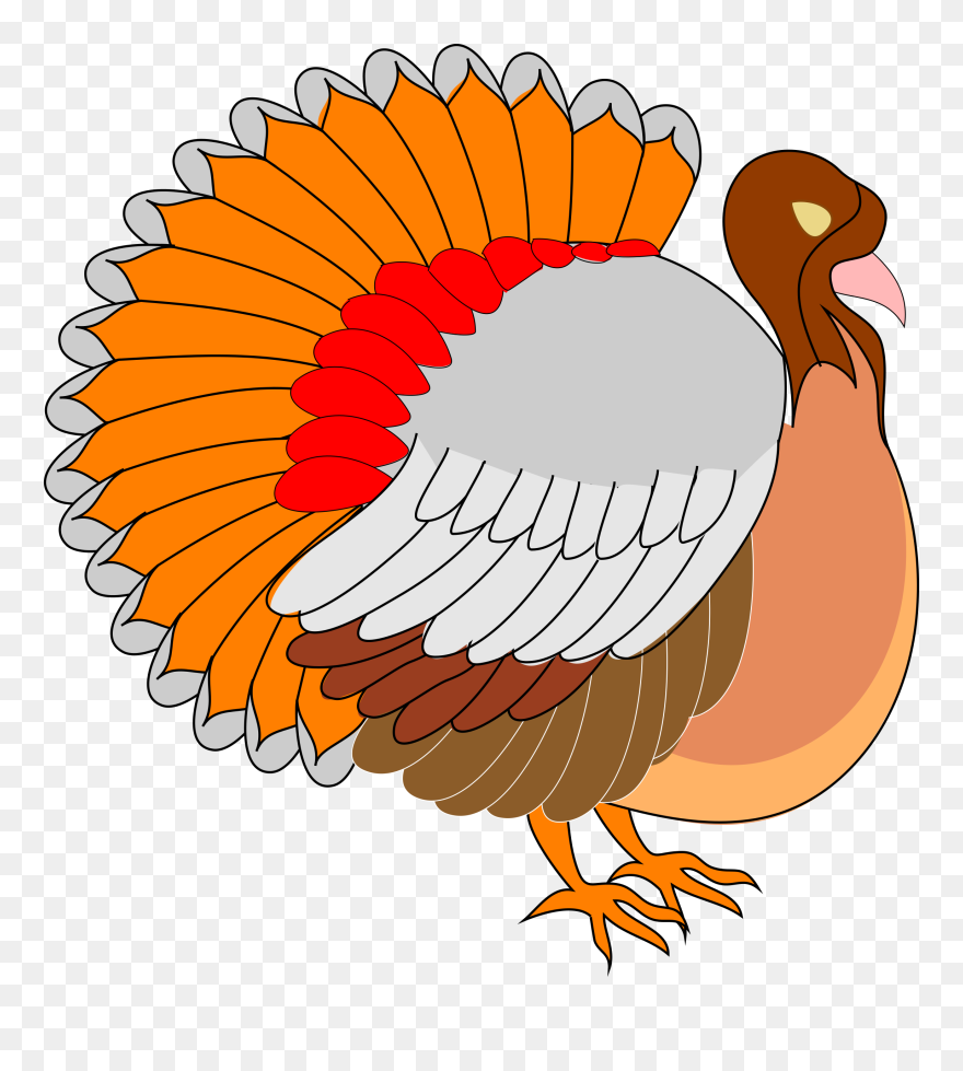 Familie Free Architetto Tacchino - Thanksgiving Clip Art - Png Download