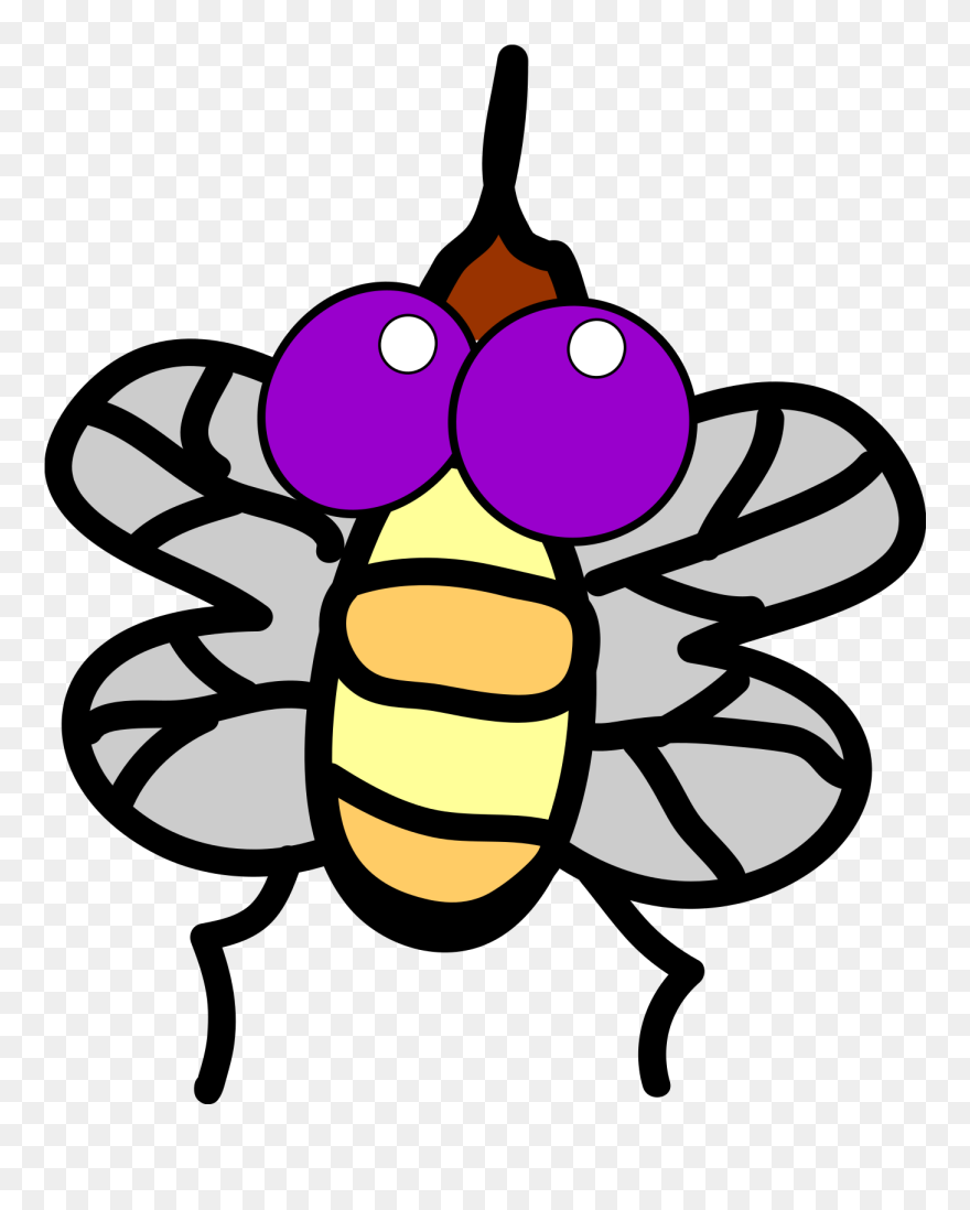 Cartoon Owl Clipart, Vector Clip Art Online, Royalty - Fly Clip Art - Png Download