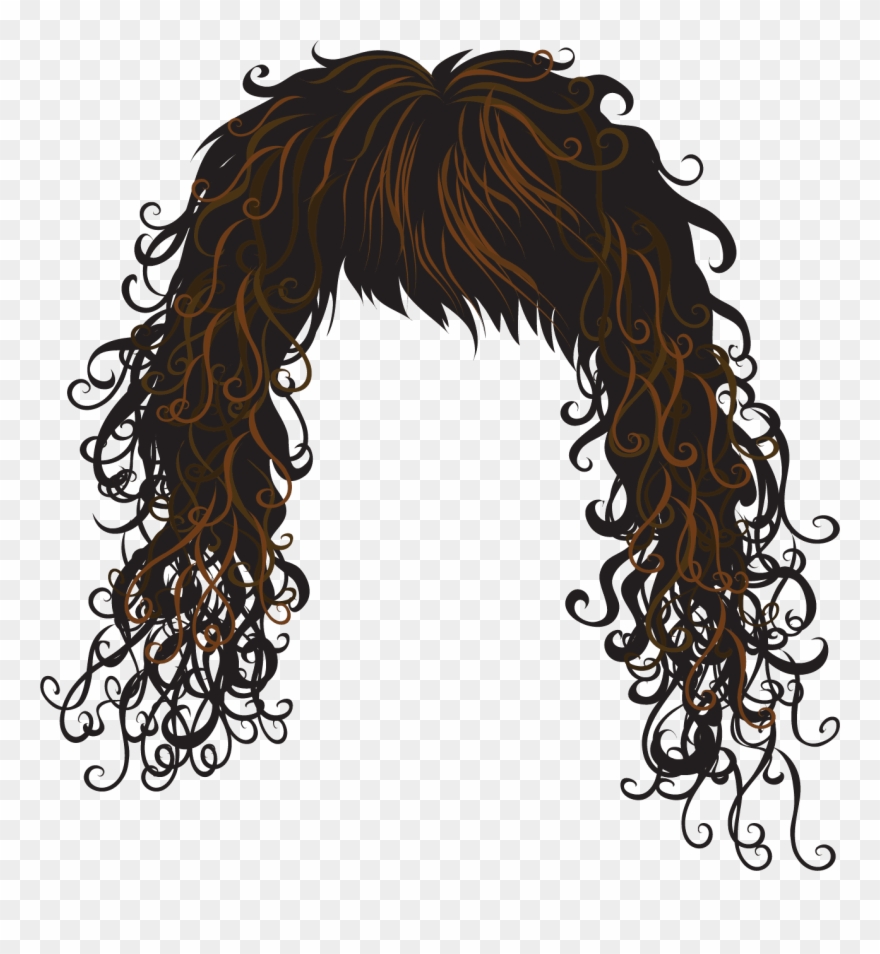 Hair Clipart Free Download Clip Art On - Vector Hair - Png Download
