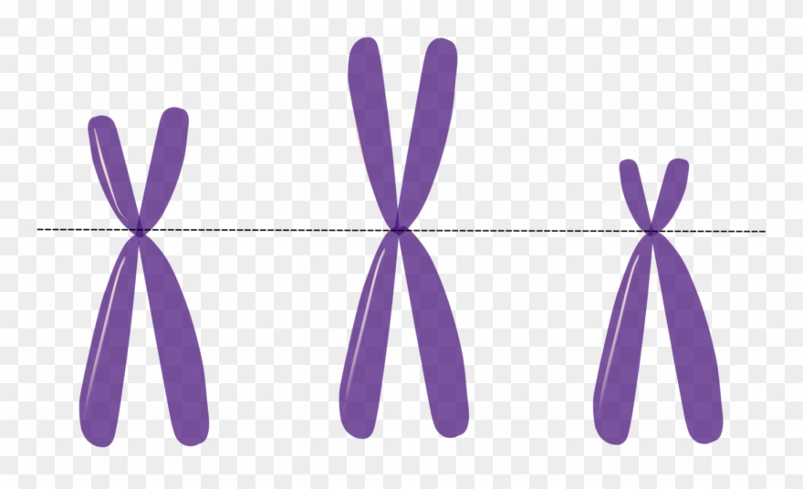 Clip Free Download Genetics Heredity Dna Free - Rett Syndrome Clip Art - Png Download