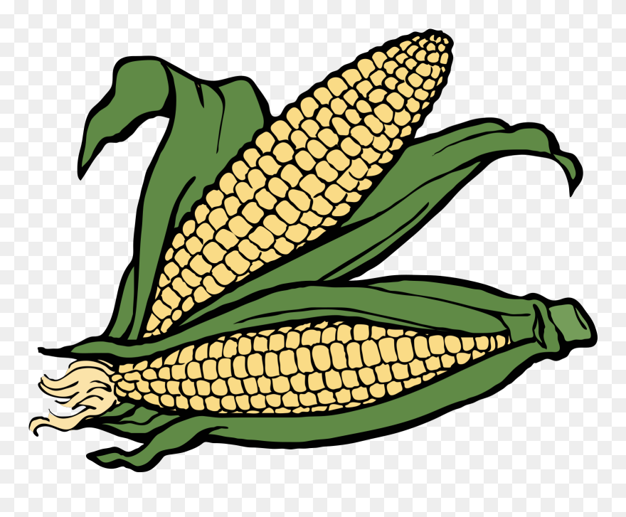 Pix For Fall Corn Clipart - Corn Clipart - Png Download