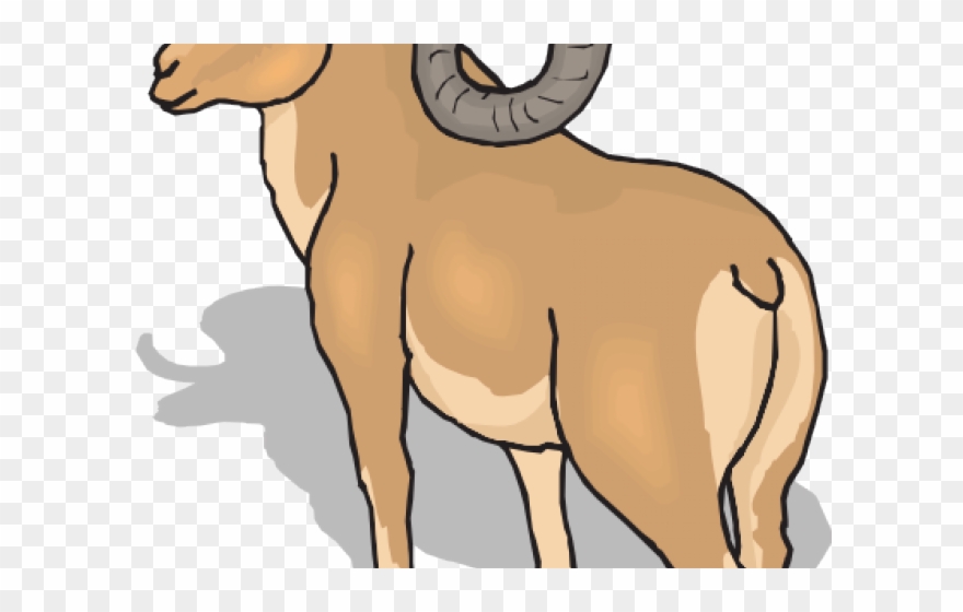 Dall Sheep Clipart Ram - Ram Animal Png Transparent Png