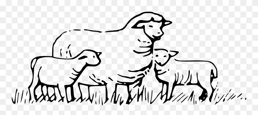 Flock Of Sheep Clipart 101 Clip Art - Sheeps Black And White - Png Download