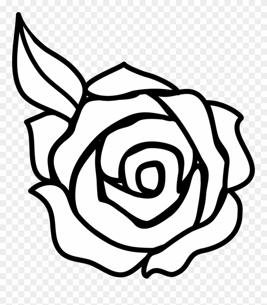 Rose Flower Clipart - Drawing Roses - Png Download