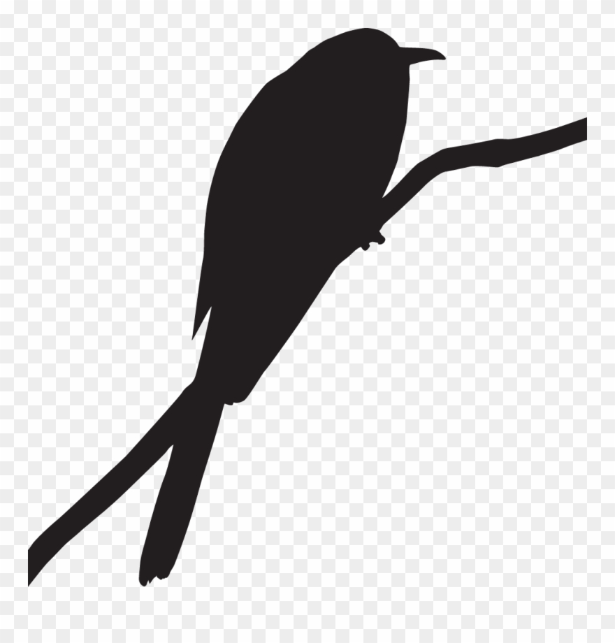 Yellow-billed Cuckoo - Cuckoo Bird Icon Clipart