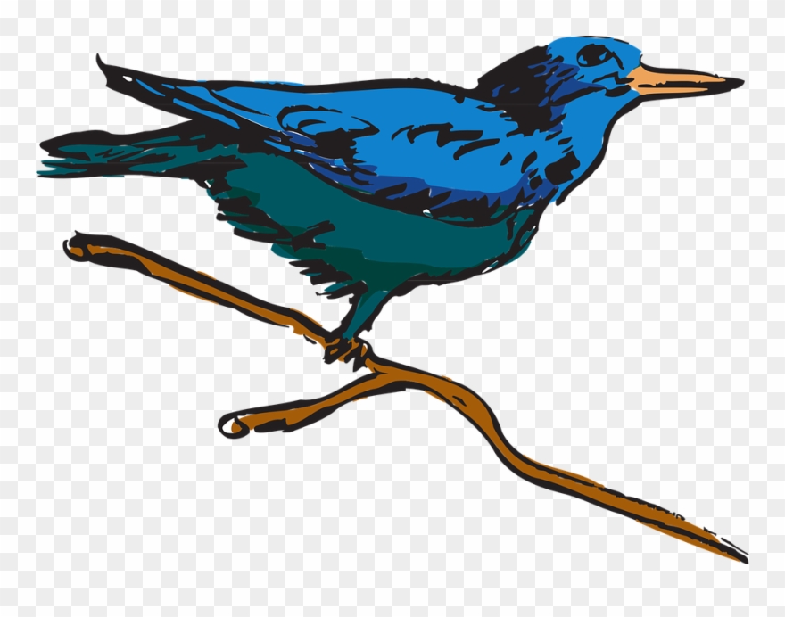 Feather Clipart Creative - Bird Perched Clipart - Png Download