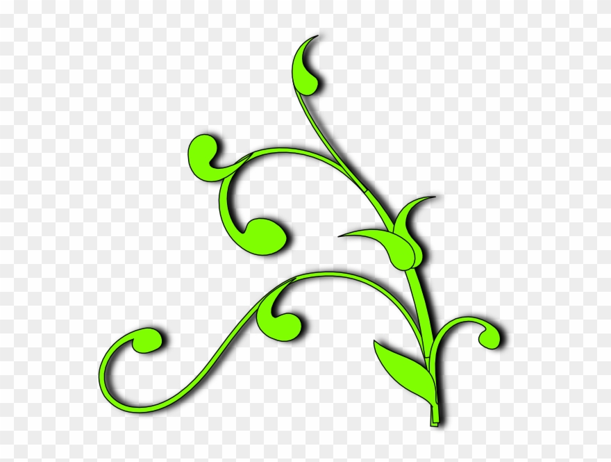 Vine Plant Clipart - Png Download