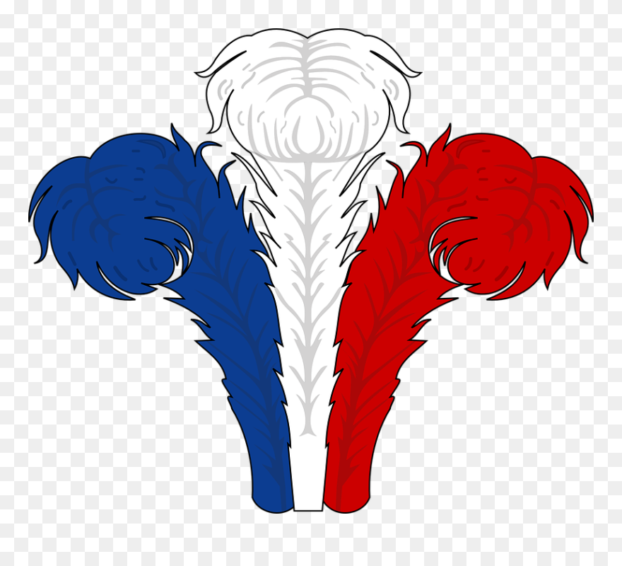 How To Set Use Feathers Svg Vector Clipart