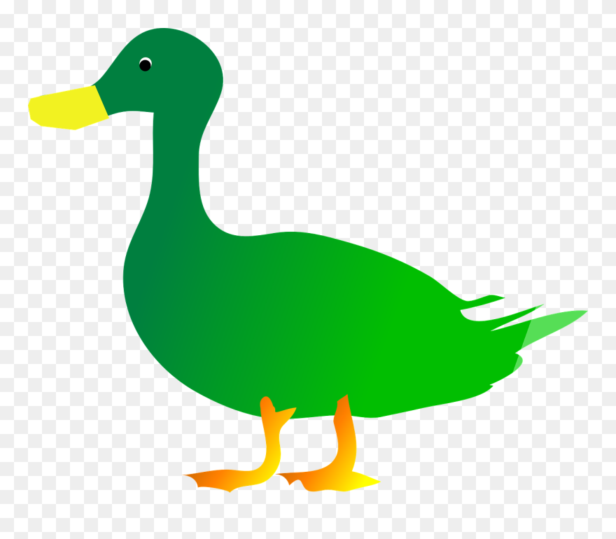 Mallard Clipart Feather - Green Duck Clipart - Png Download