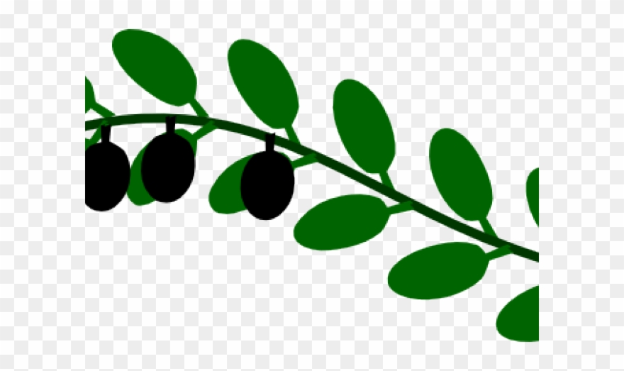Vines Clipart Olive - Paloma Con Rama De Olivo - Png Download