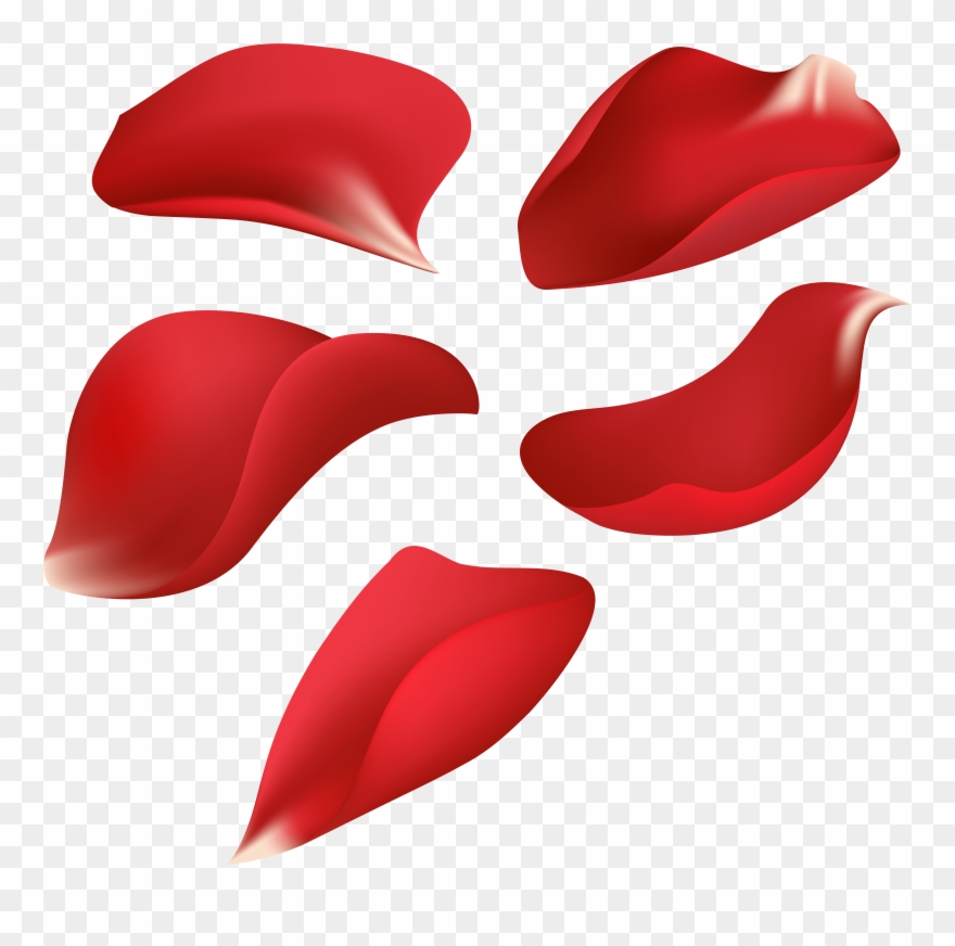 Red Rose Petals Transparent Clip Art Image Gallery - Png Download